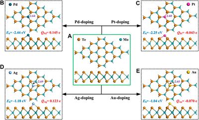 Research status of gas sensing performance of MoTe2-based gas sensors: A mini review